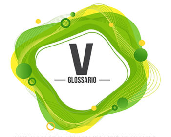 Glossario V