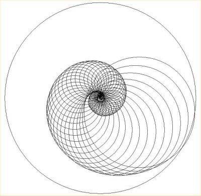 La Sezione Aurea: Bellezza e Matematica | PCF